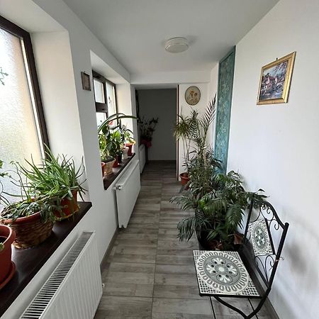Solaria Studio Galaţi Eksteriør billede